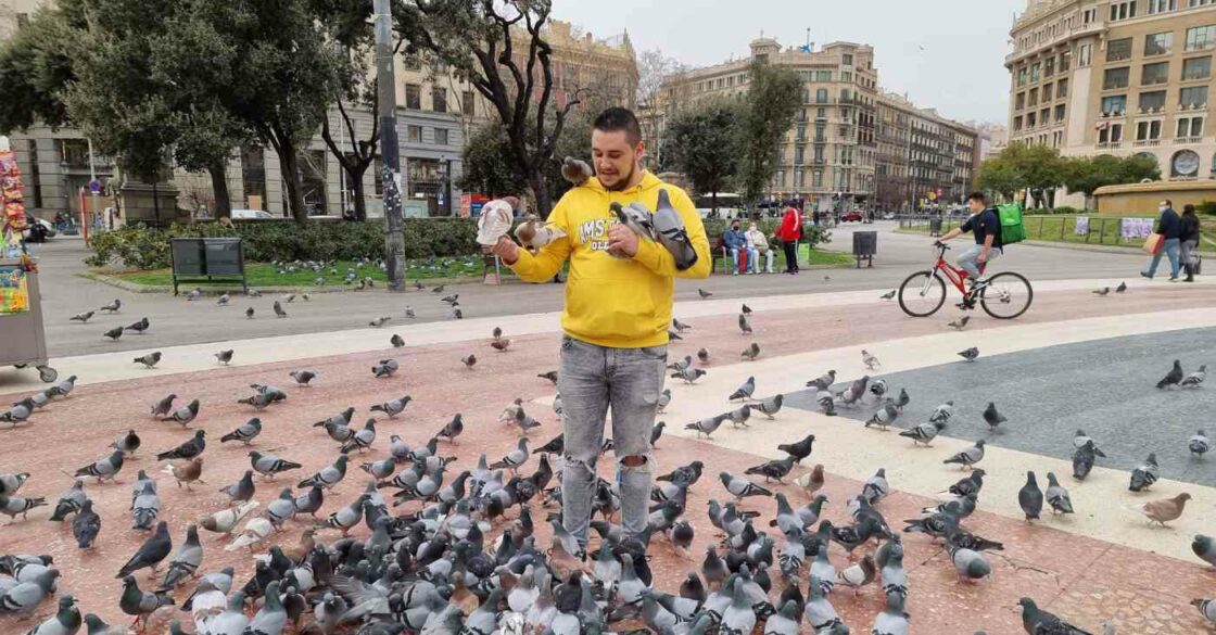 Catalin Ruiu beim Tauben füttern in Spanien.